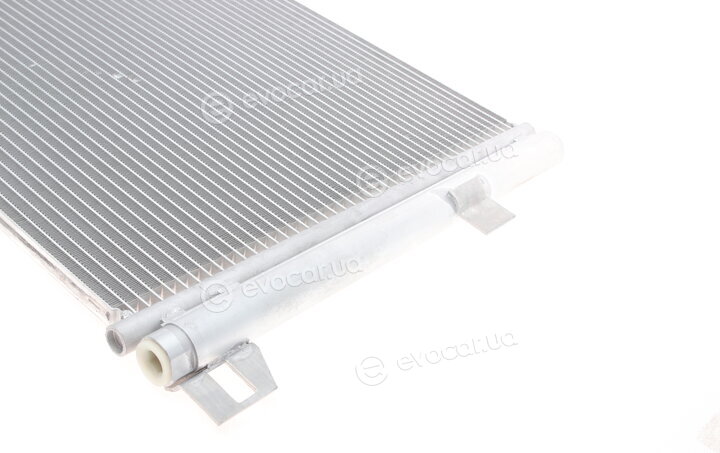 Van Wezel 58005369