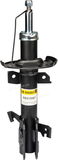 Raiso RS315867