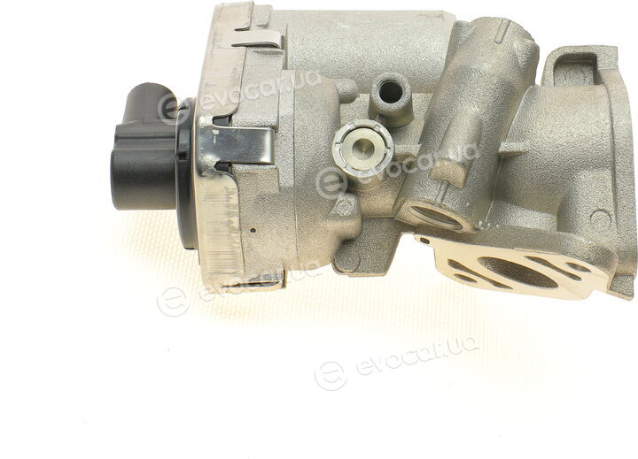 AIC 54905
