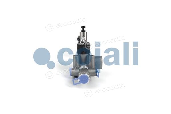 Cojali 2314407