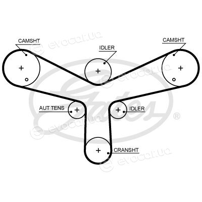 Gates K035624XS