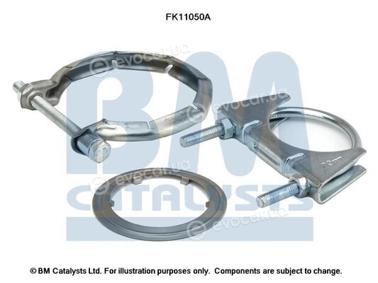 BM Catalysts FK11050