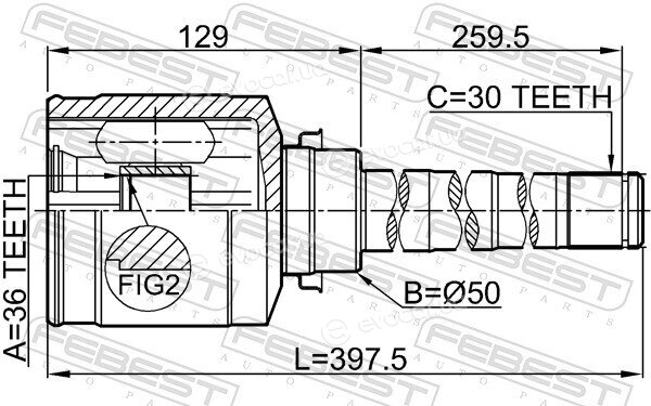 Febest 0411-CW6WRH