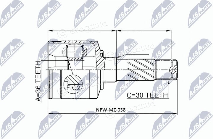 NTY NPW-MZ-038