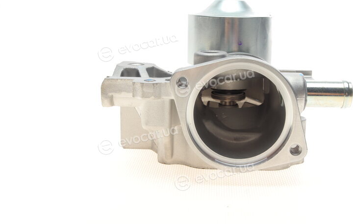 Hepu P1720