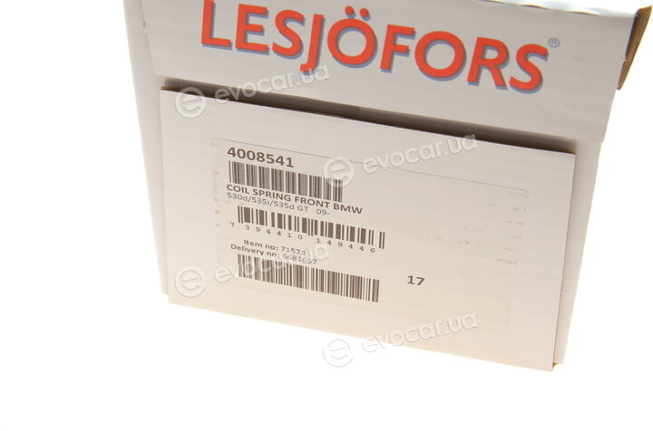 Lesjofors 4008541
