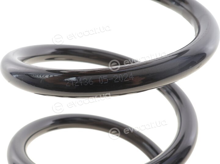 Solgy 212136