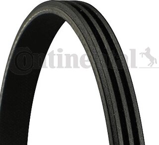 Continental 3PK806 ELAST