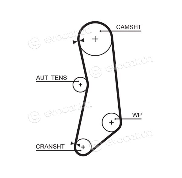 Gates K015627XS