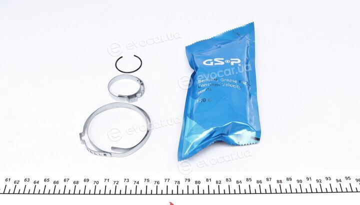 GSP 818237