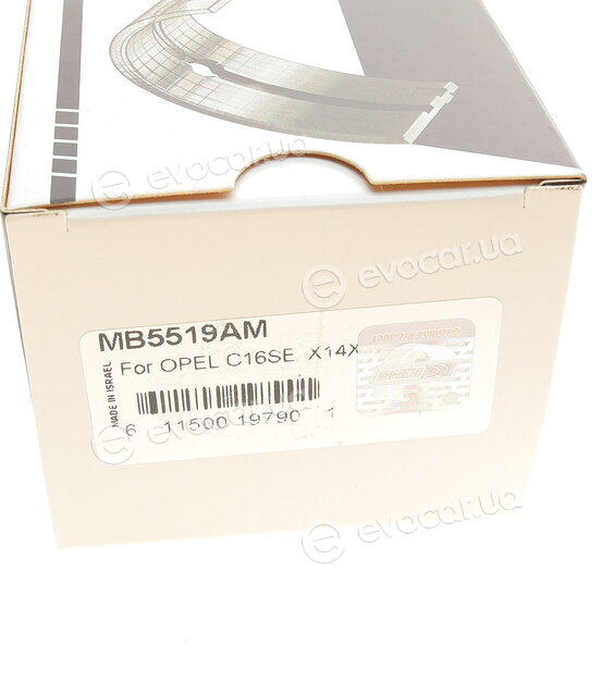 King MB5519AM