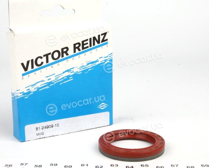 Victor Reinz 81-24909-10