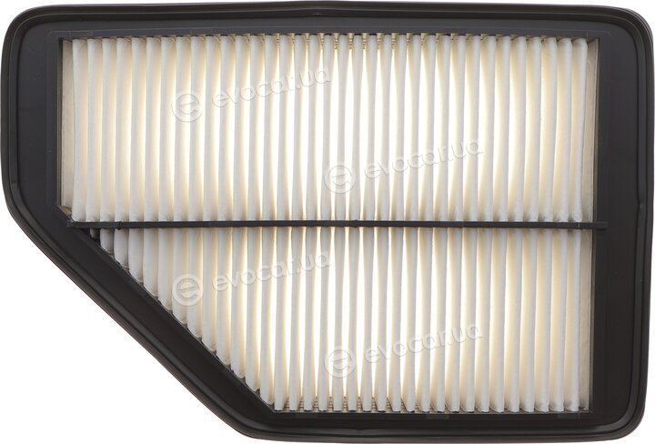 Solgy 103196