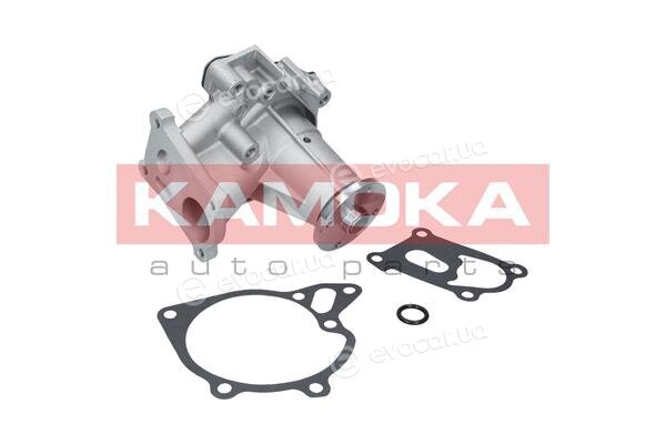Kamoka T0161