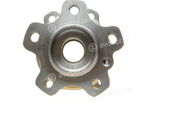Borsehung B11293