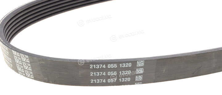 Dayco 6PK894