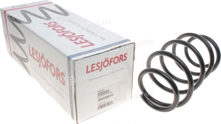 Lesjofors 4062061