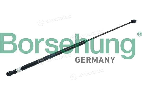 Borsehung B18427