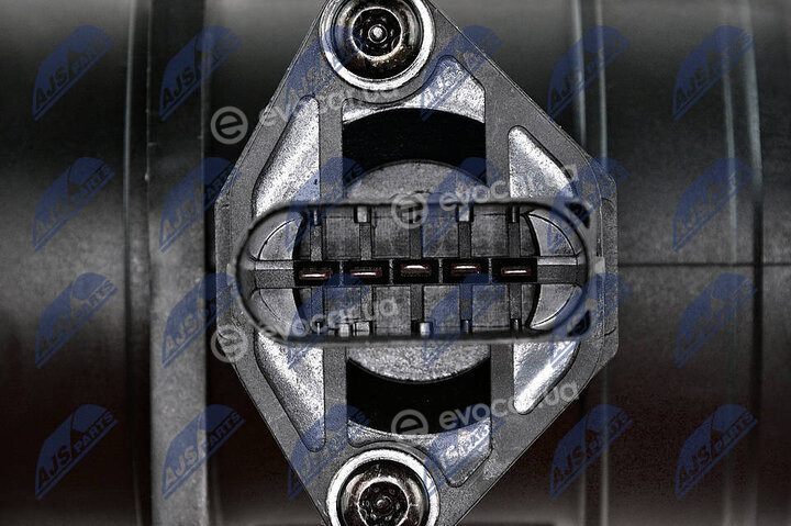 NTY EPP-BM-001