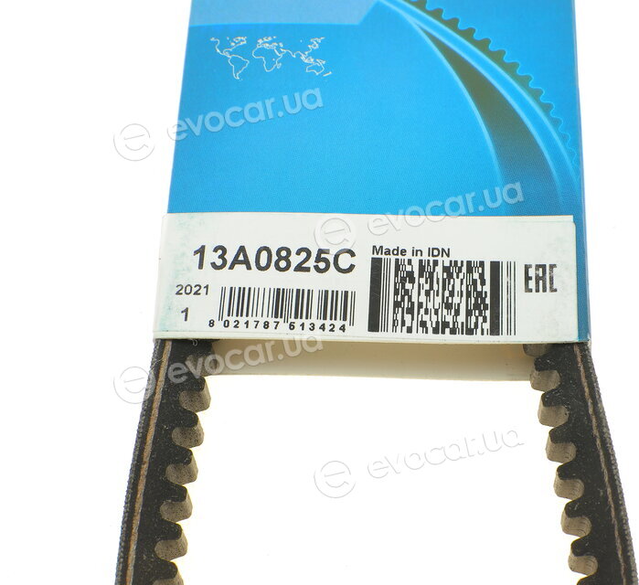 Dayco 13A0825C