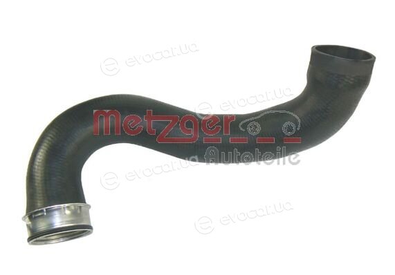 Metzger 2400026