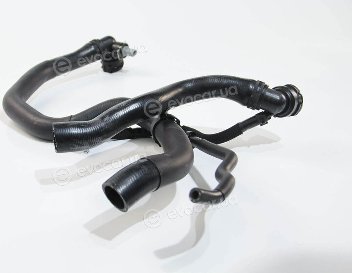 Rapro R25867