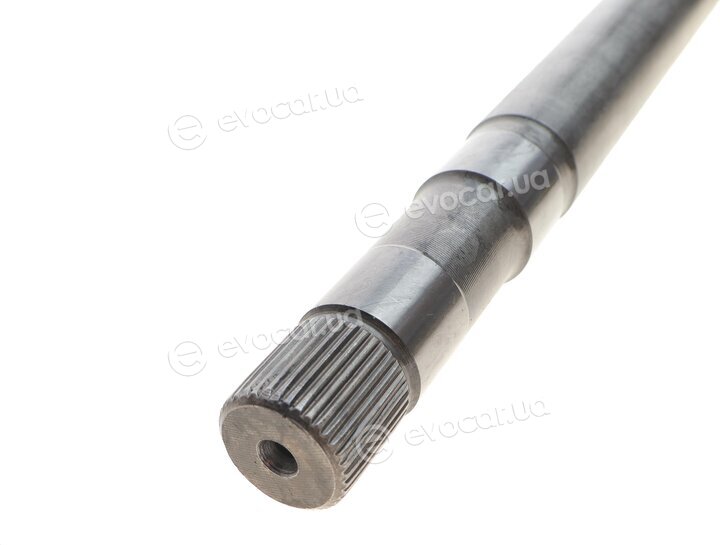 Magneti Marelli 302004190036