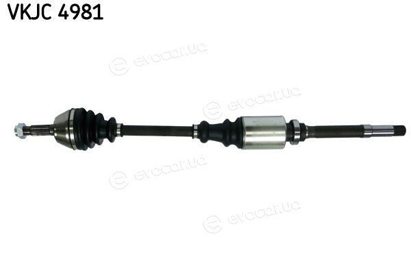 SKF VKJC 4981