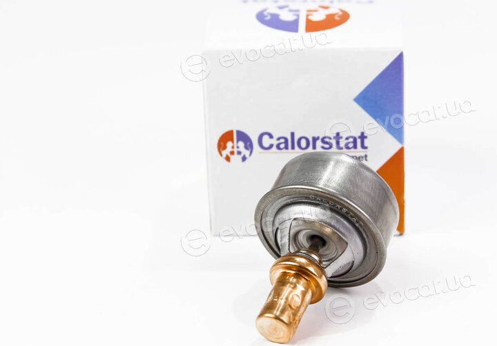 Vernet / Calorstat TH4495.89