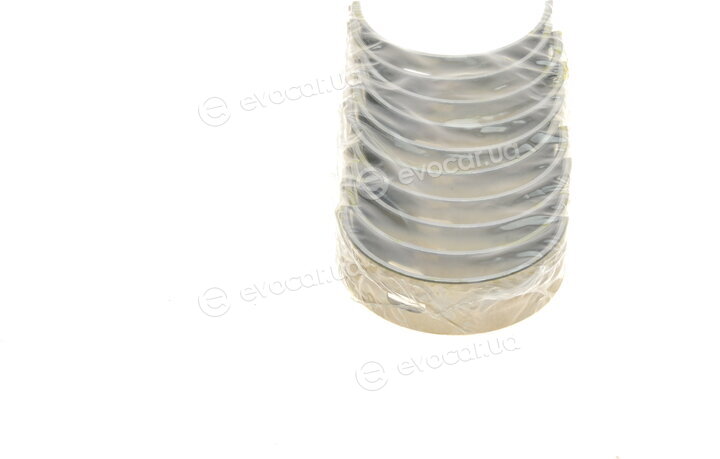 Mahle 029 HS 10038 000