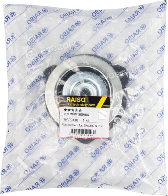 Raiso RC02418