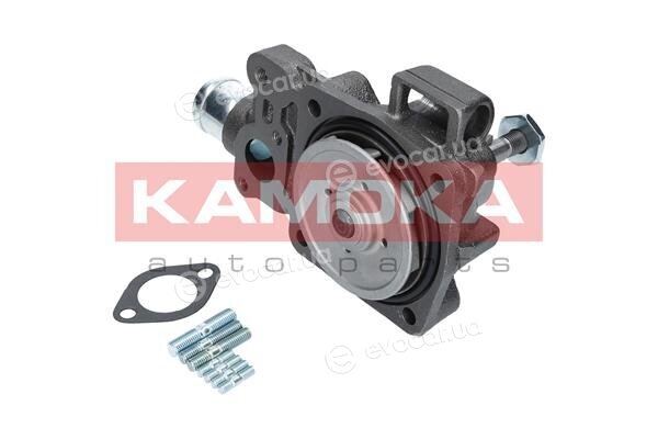 Kamoka T0166