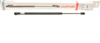 Lesjofors 8127557