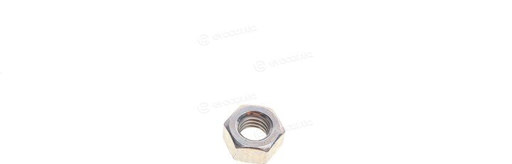 Gates K045491XS
