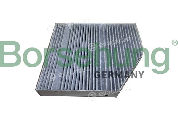 Borsehung B12449
