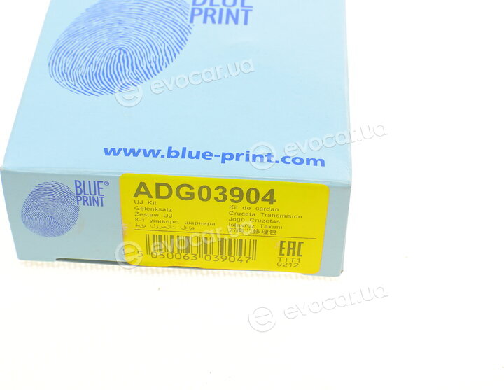 Blue Print ADG03904