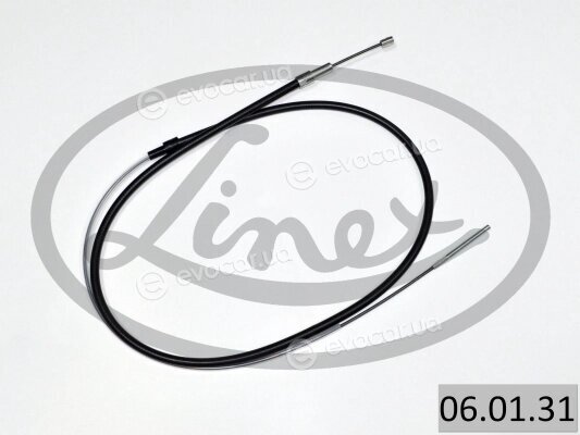 Linex 06.01.31