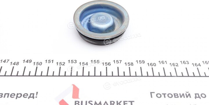 BorgWarner DS120456