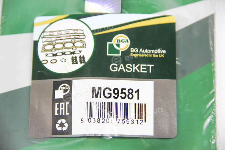 BGA MG9581