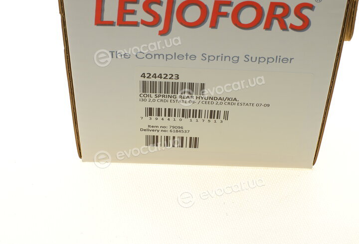 Lesjofors 4244223