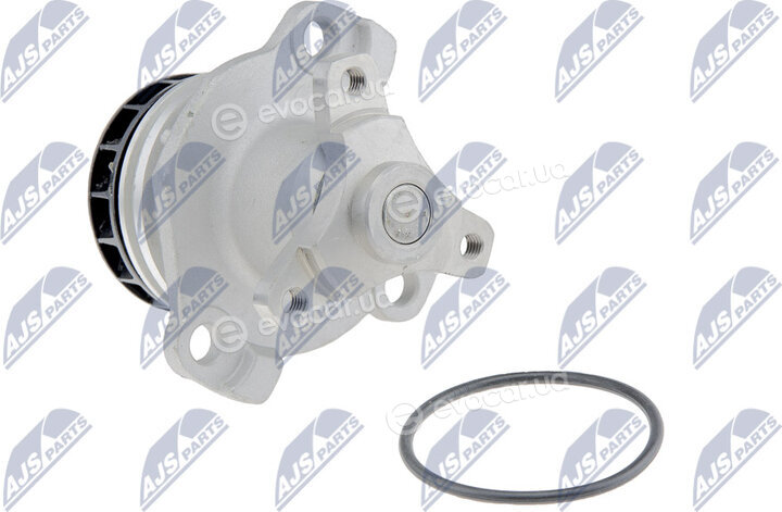 NTY CPW-NS-081