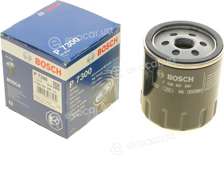 Bosch F 026 407 300