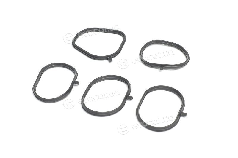 Elring B55.110