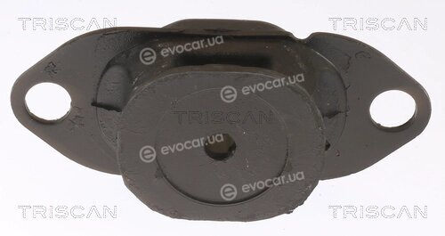 Triscan 8505 25116