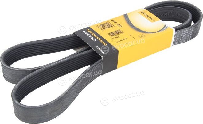 Continental 8PK1550