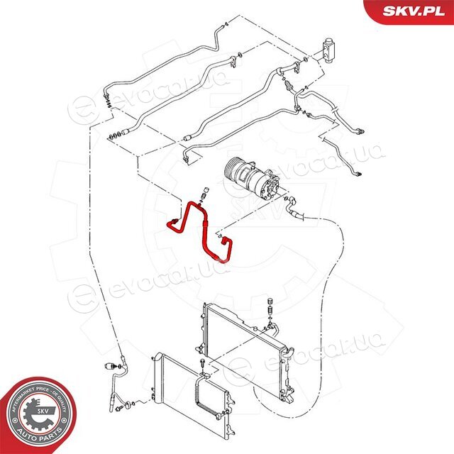 SKV 43SKV502