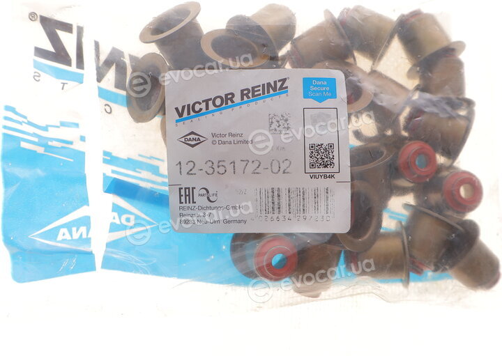 Victor Reinz 12-35172-02