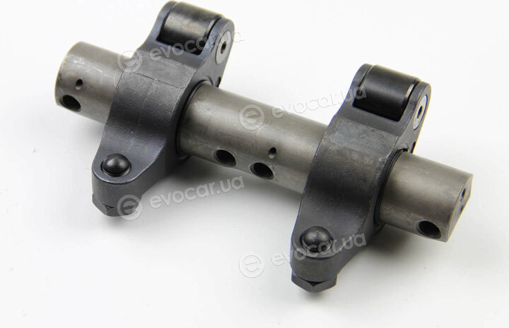 BGA RA0100