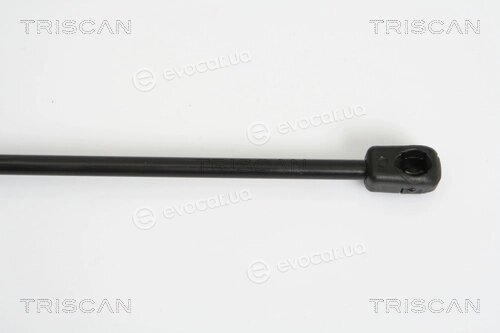 Triscan 8710 29279