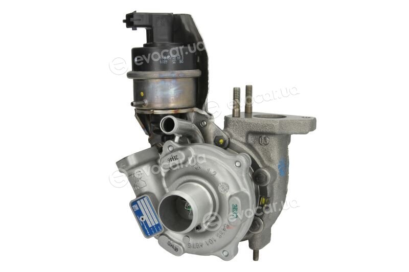 BorgWarner 54309880000
